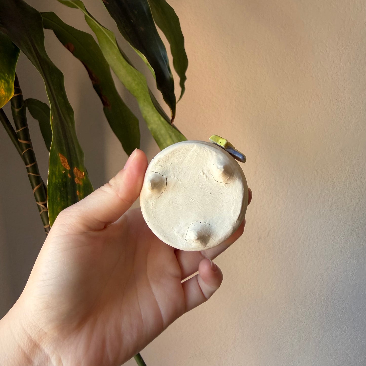 Shooting Star Creature (B-grade)