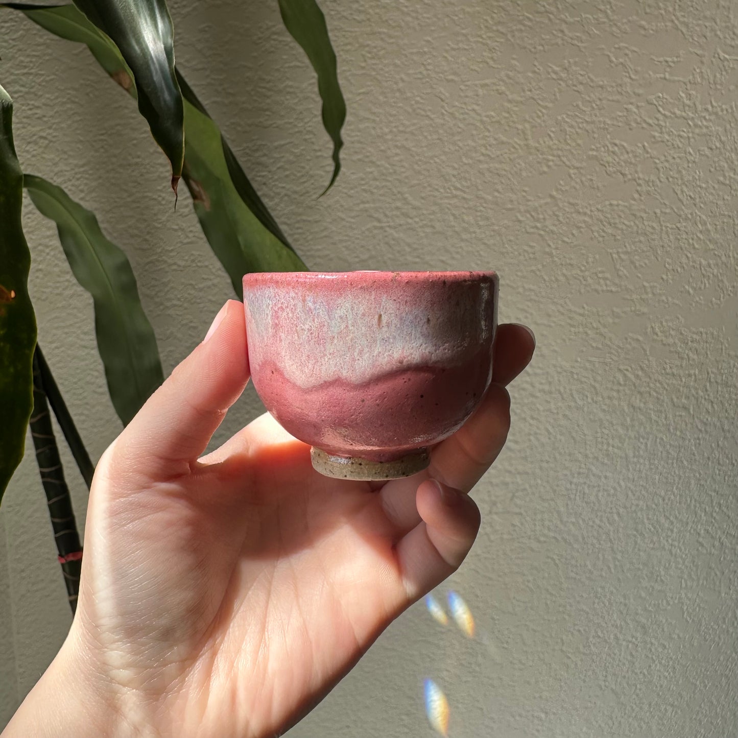 Pink teacup