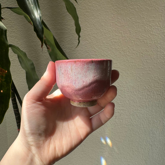 Pink teacup