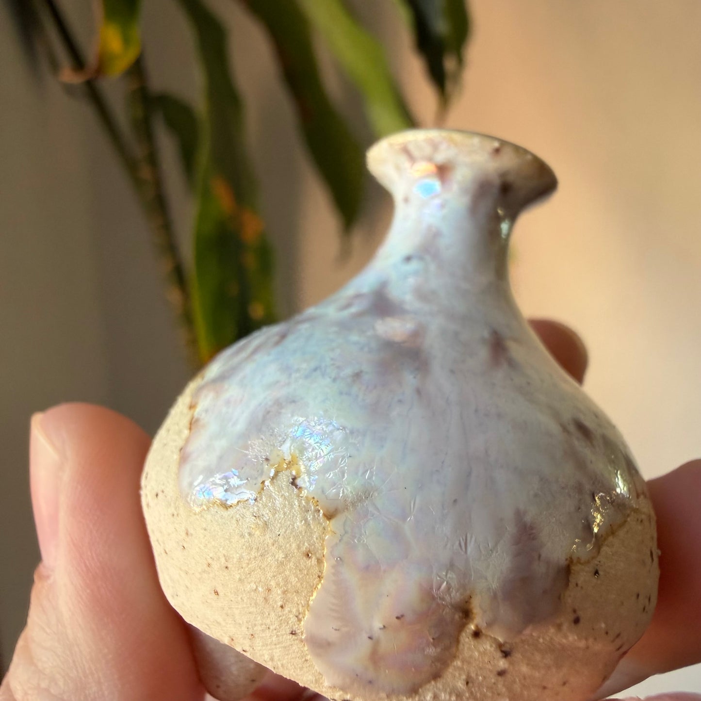 Pearlescent Mini Creature (B-grade)