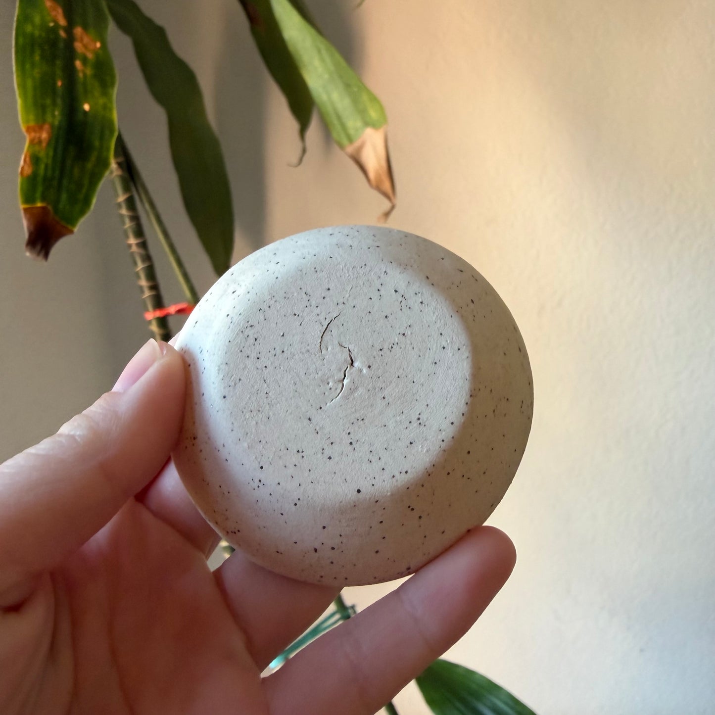 Beige Ring Dish (B-grade)