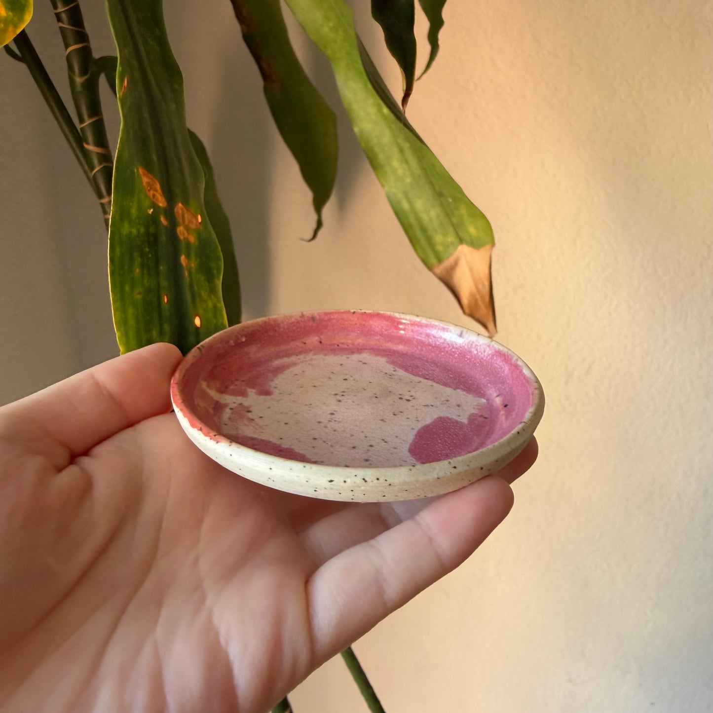 Pink Sauce Dish