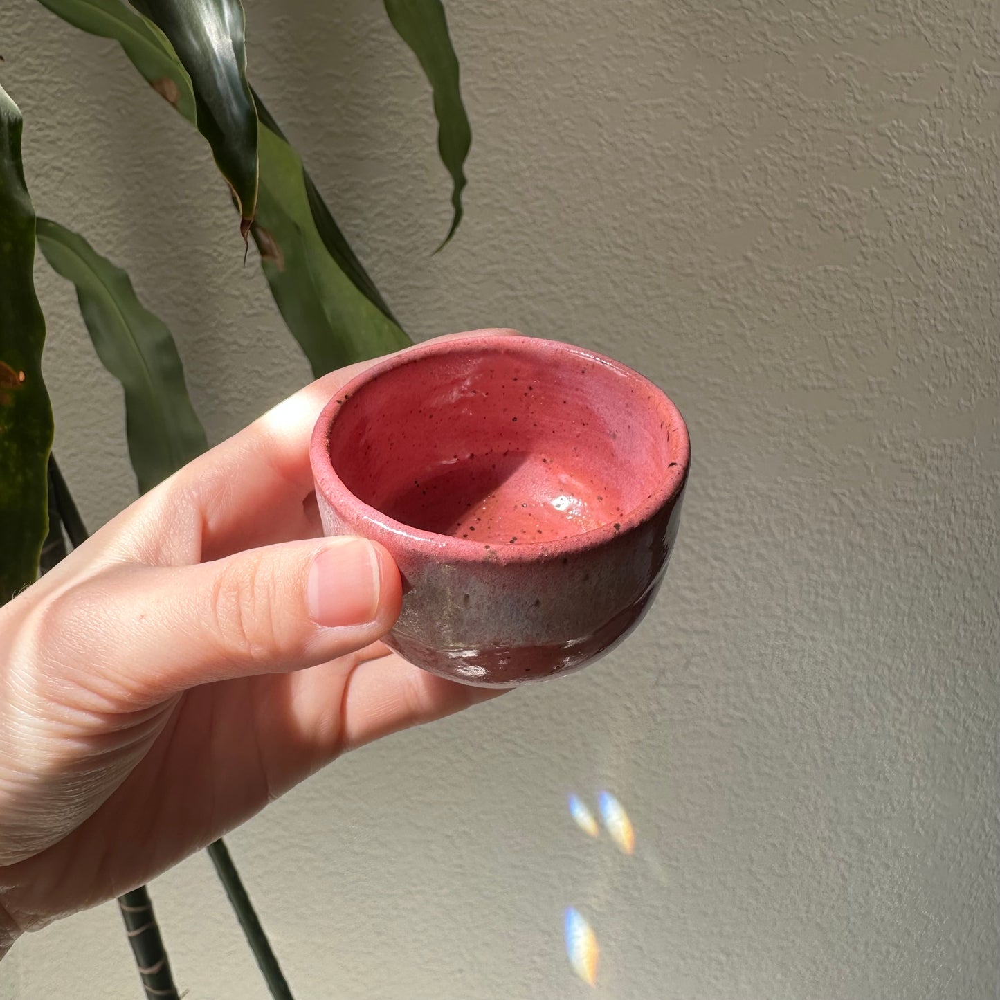Pink teacup